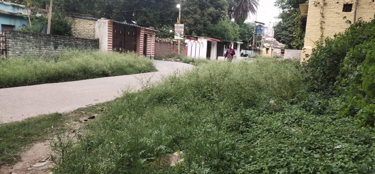 एसीसी कॉलोनी में पसरी गंदगी, मच्छरों का प्रकोप बढ़ा