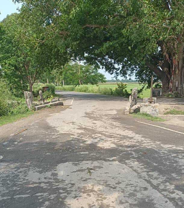 पुल पर रेलिंग नहीं रहने के कारण होती है दुर्घटना