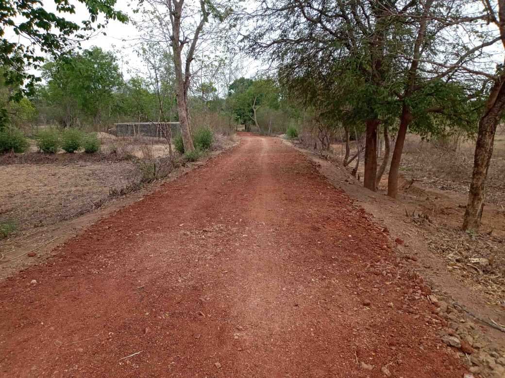 Ranchi news : झारखंड में इस साल मनरेगा से बनेंगी 7347 ग्रामीण सड़कें