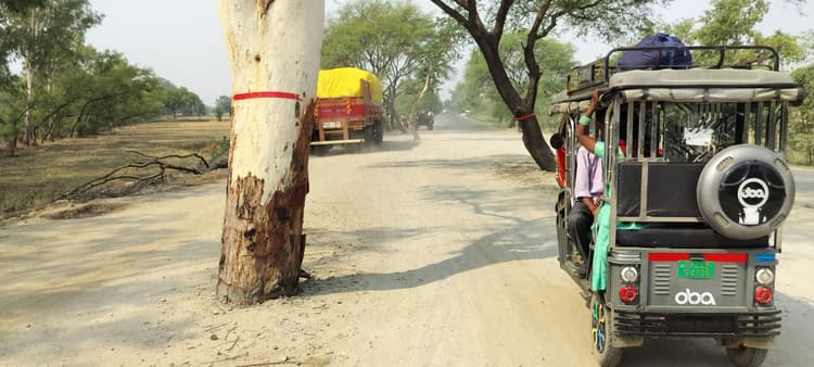 सूर्यपुरा पुल के समीप सड़क पर खड़े पेड़ हादसे को दे रहा निमंत्रण