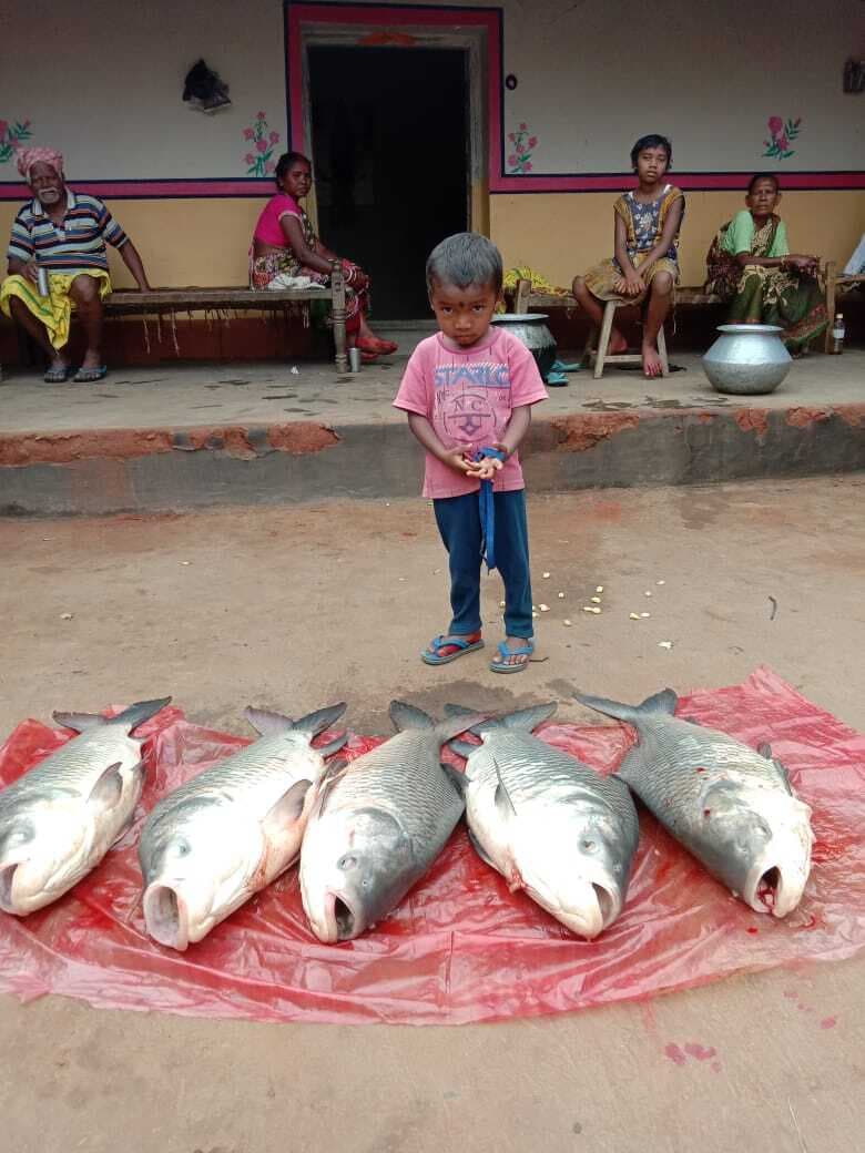 East Singhbhum News : डुमरिया के किसान सुदाम मुर्मू ने बागवानी व मछली पालन से बनायी अलग पहचान