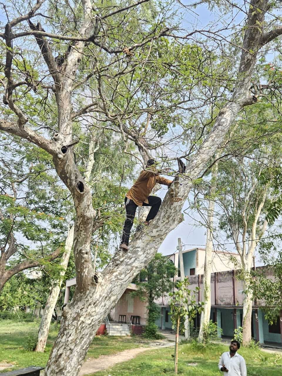 अभाविप ने सकोरा अभियान के तहत पक्षियों के लिए की अन्न-जल की व्यवस्था