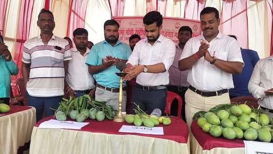 ठाकुरगंगटी में आम उत्सव सह बागवानी मेला का भव्य आयोजन