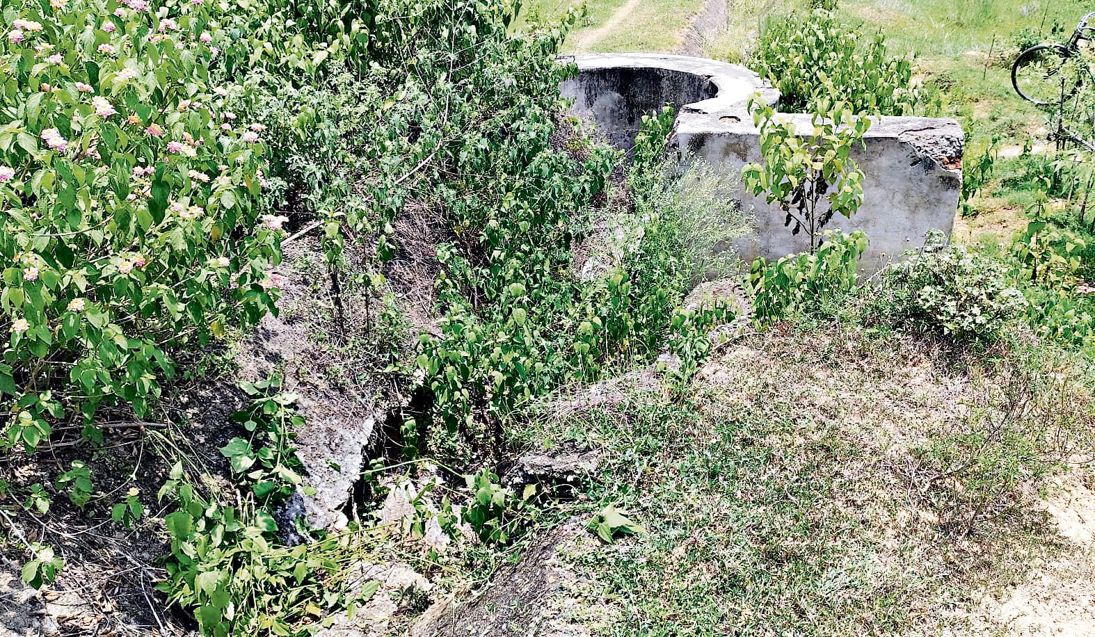 East Singhbhum News : शाखा नहरें जाम, धान रोपनी को लेकर सैकड़ों किसान चिंतित