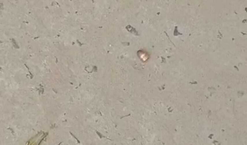 Motihari: गैराज संचालक सुभान हत्याकांड में तीन बदमाशों पर प्राथमिकी