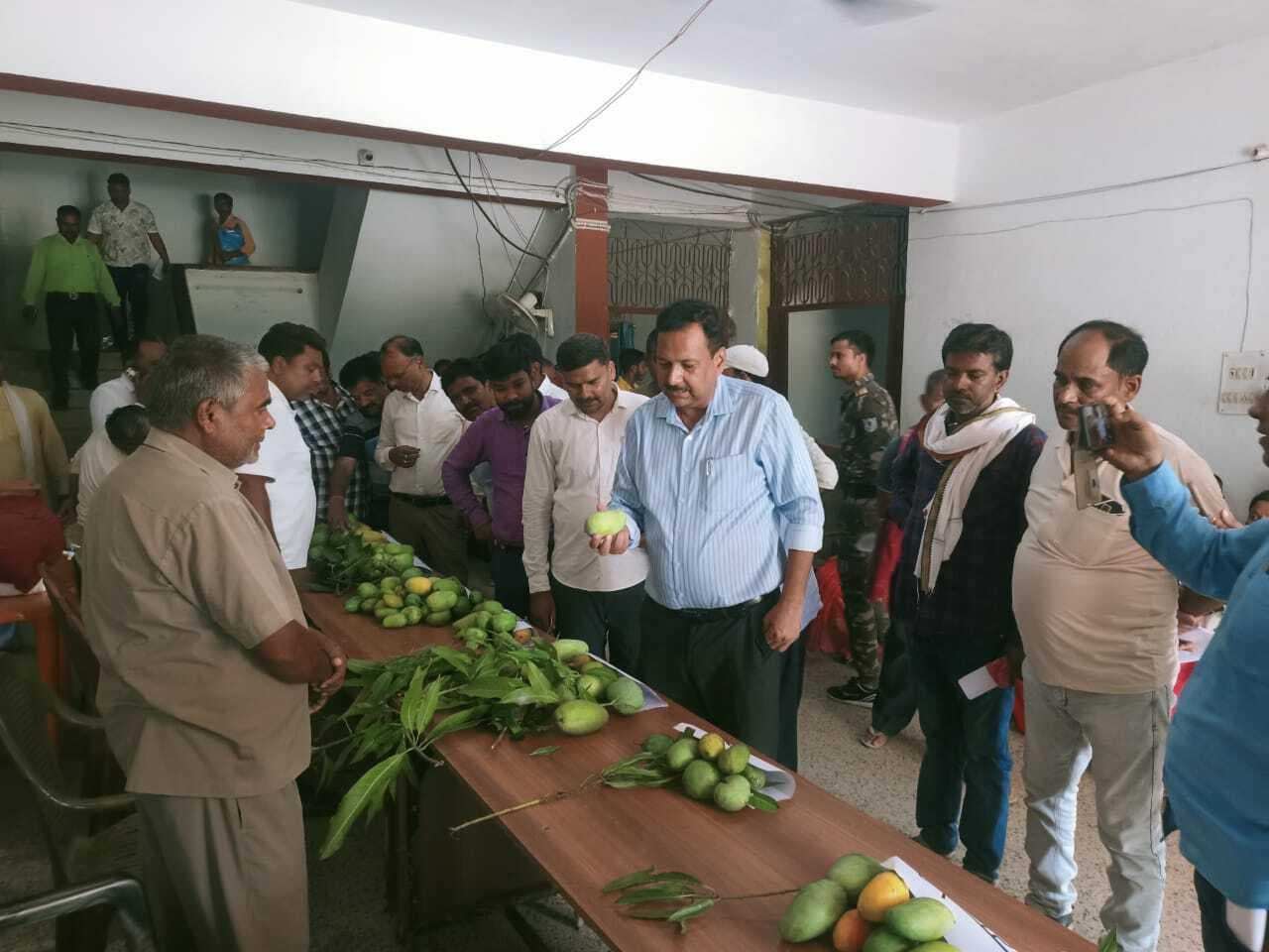 बागवानी मिशन में बेहतर आम उत्पादक किसान चिह्नित