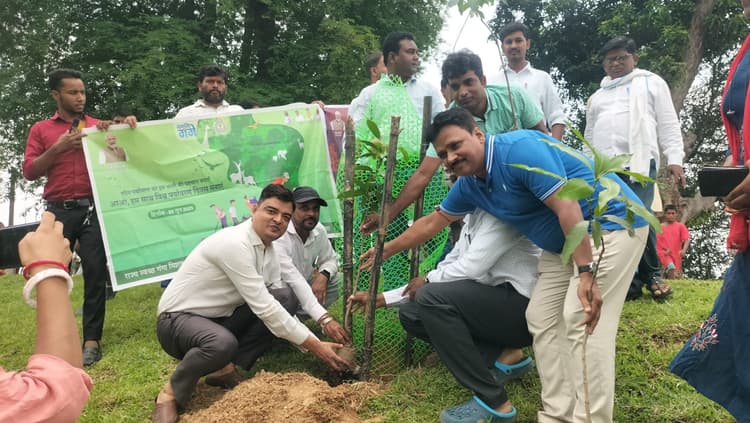 स्कूलों को नहीं मिल रहे हैं पौधे,  शिक्षा विभाग ने अधिकारियों से मांगी मदद