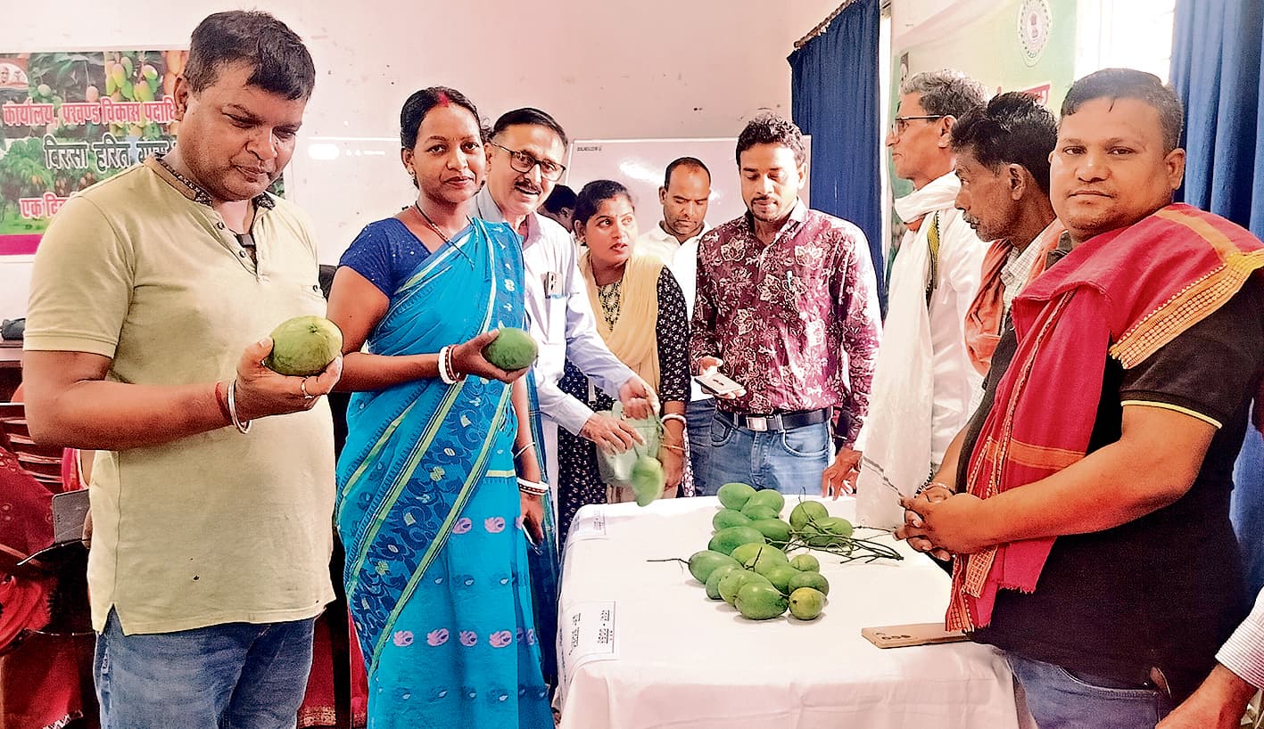 Seraikela Kharsawan News : राजनगर में आम उत्सव सह बागवानी मेला