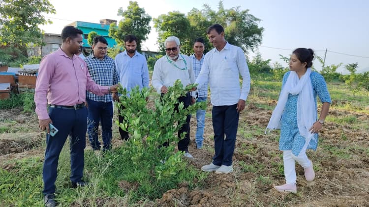 Bokaro News : किसानों के लिए कृषक पाठशाला को बताया वरदान