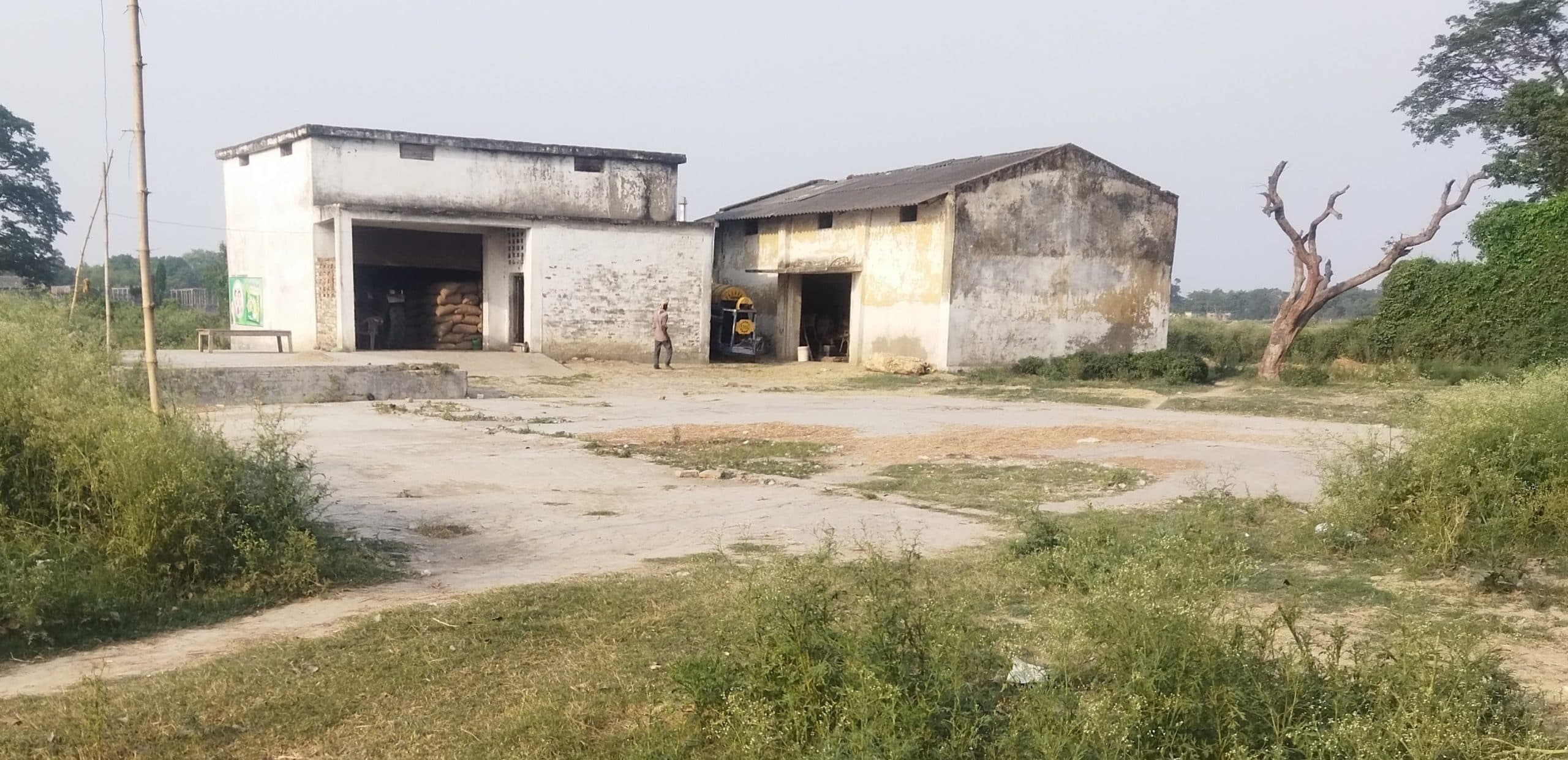 Sitamarhi: पशुओं का चारागाह बना हुआ है 20 हेक्टेयर में फैला कृषि फार्म