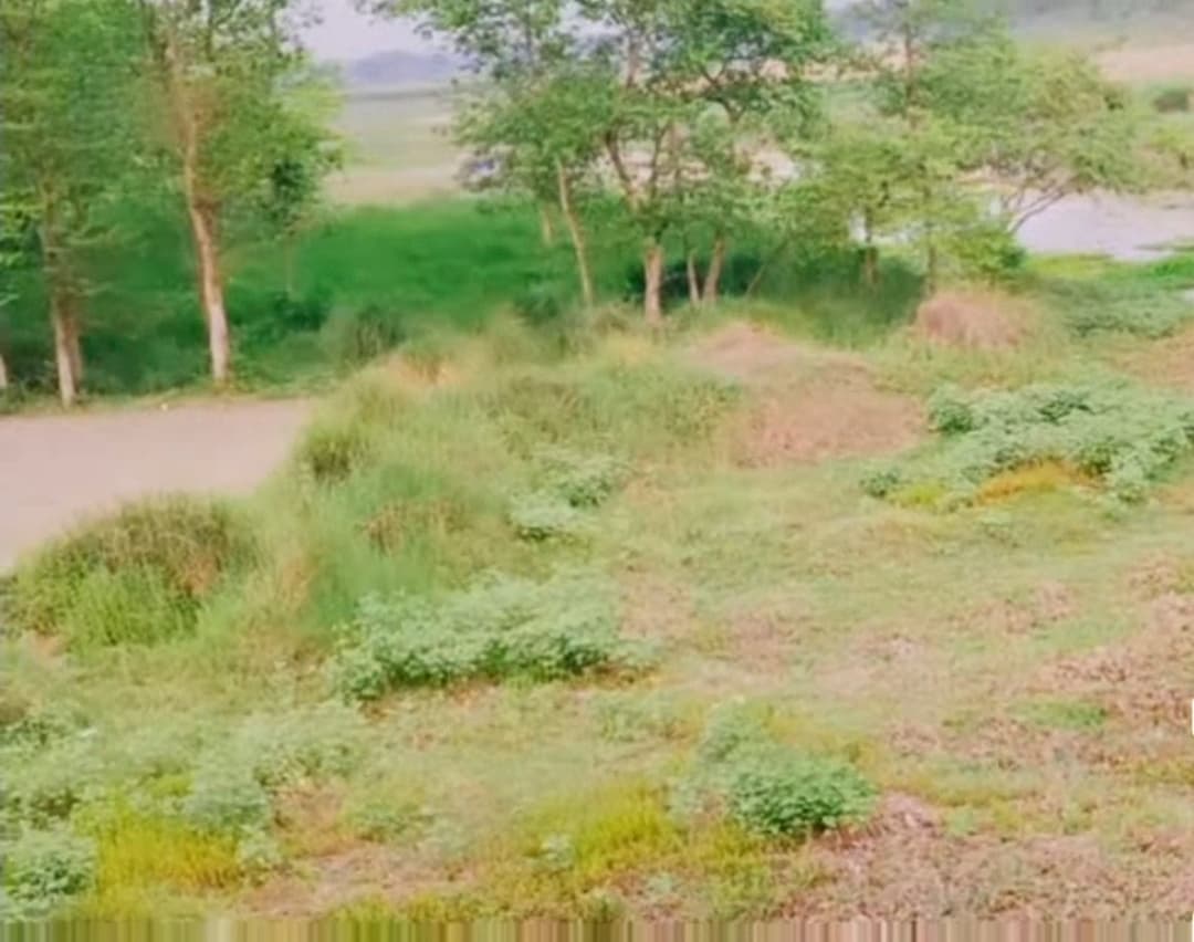 Samastipur News:नदियों के अस्तित्व पर संकट : अंग्रेजों के जल मार्ग से उड़ रही धूल
