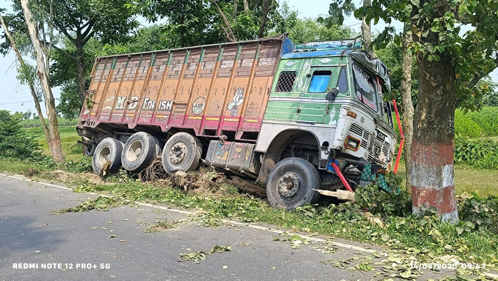 अनियंत्रित ट्रक पेड़ से टकराया, चालक घायल