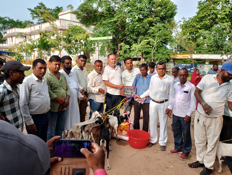 पशुधन योजना के लाभुकों के बीच बकरा-बकरी वितरित