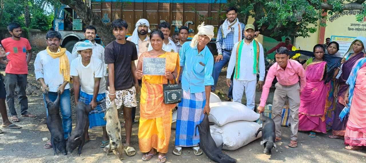 सूअर पालन कर लोगों को मिलेगा रोजगार : बर्नार्ड मरांडी