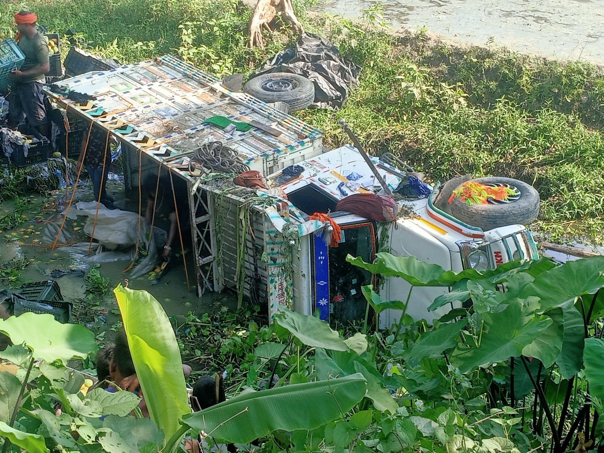 ओवरलोडेड आम लदे पिकअप गढ्ढे में पलटा, चालक बाल-बाल बचा