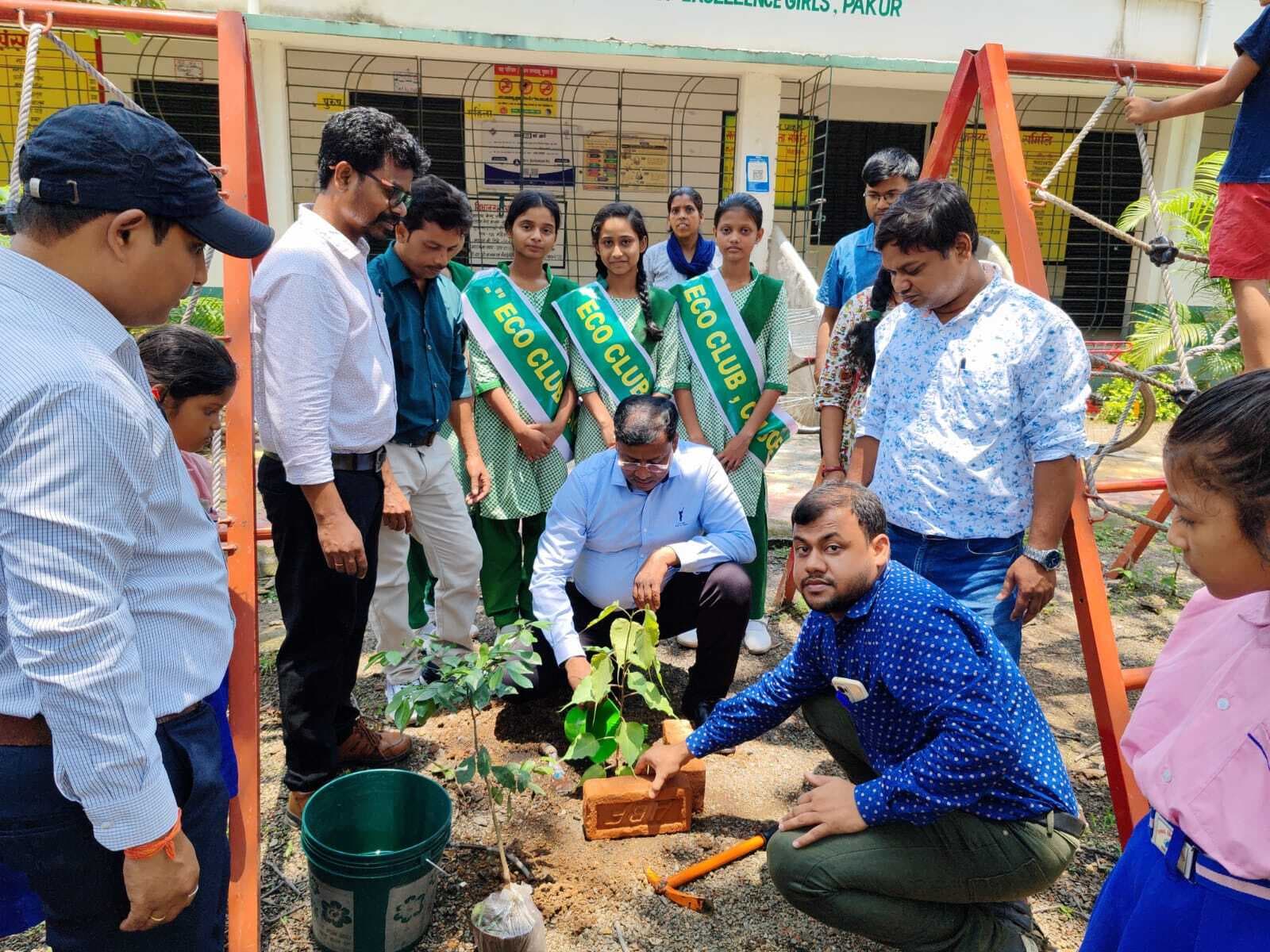 पाकुड़ जिला राज्य में पौधारोपण अभियान में अव्वल