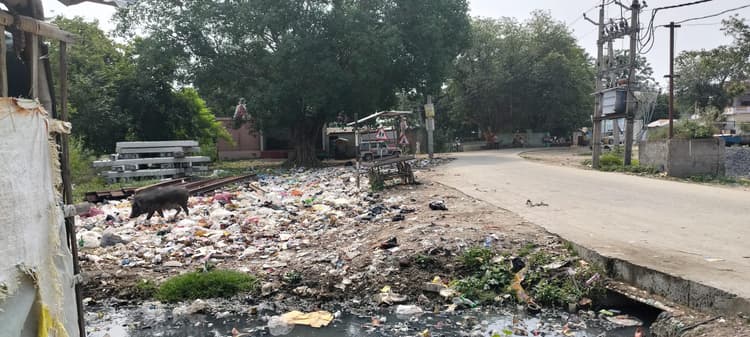 Bettiah : भैरोगंज थाना और बाजार में लगा कचरा का अंबार