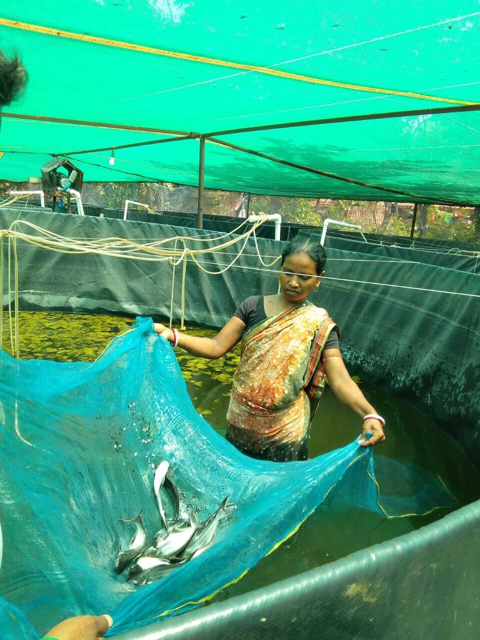 बायोफ्लॉक मछली पालन से संवर रही दुलाली सोरेन की जिंदगी