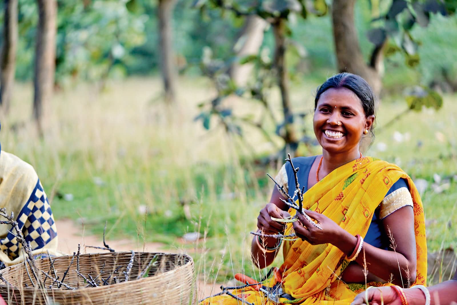 Political news : जोहार परियोजना से 35% तक बढ़ी ग्रामीणों की आय