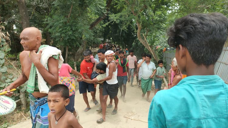 जामुन के पेड़ से गिरकर युवक जख्मी, रेफर