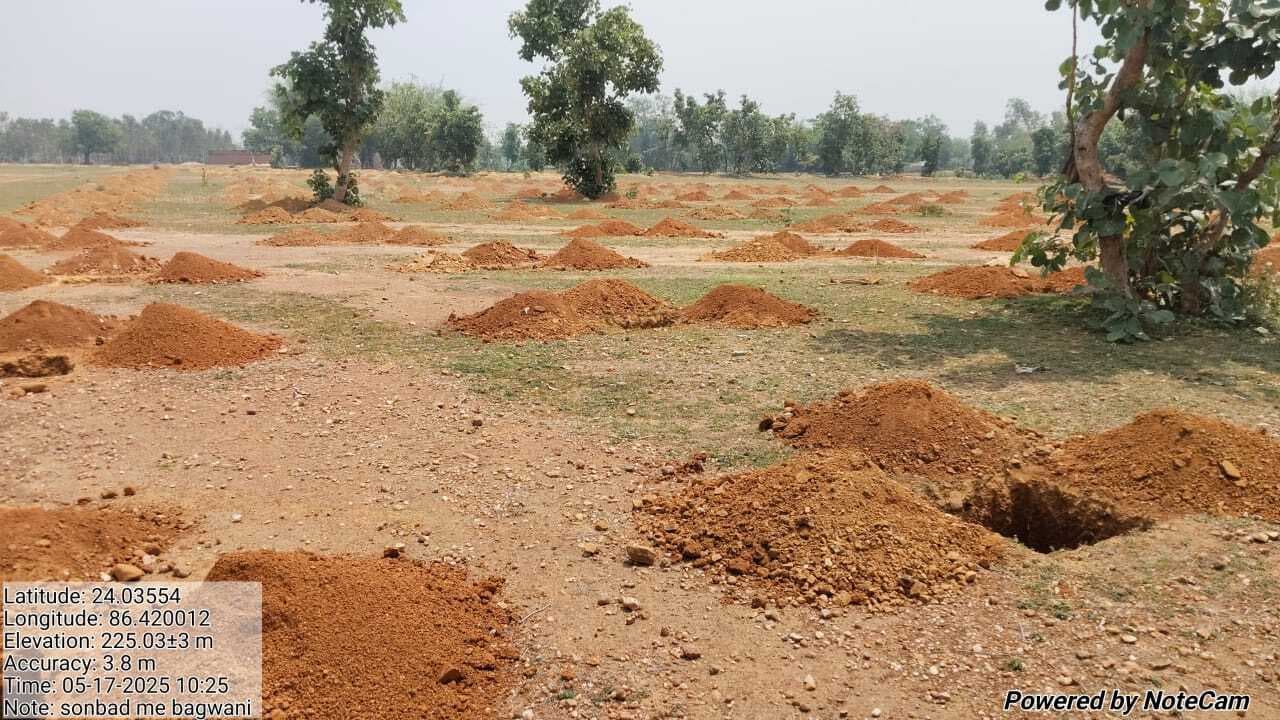 Giridih News :गांडेय प्रखंड में पौधा लगाने के लिए पिट खुदाई जोरों पर