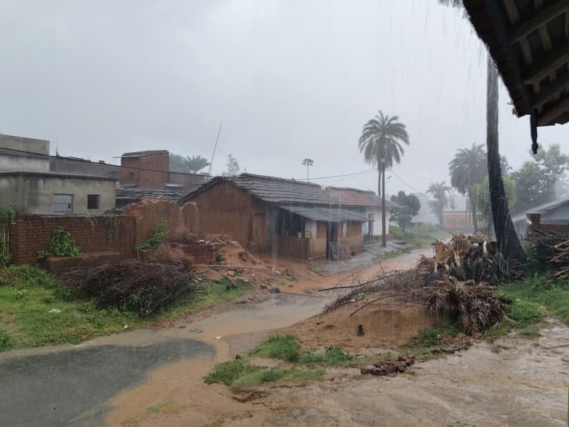 बारिश के बाद उमस भरी गर्मी से राहत, किसानों में खुशी