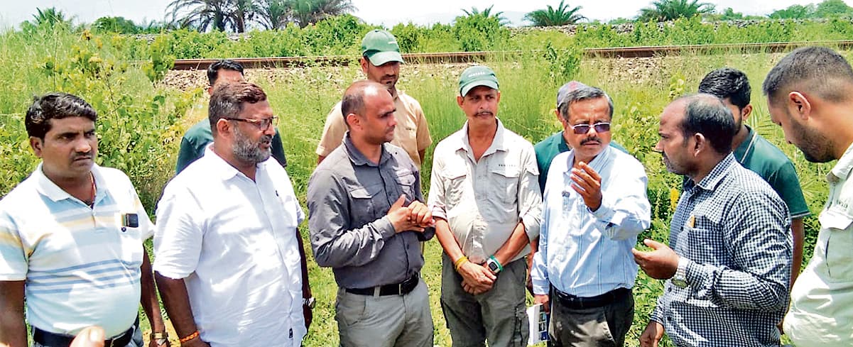 Chaibasa News : हाथियों की जान बचाने के लिए चक्रधरपुर रेल मंडल में लगा आइडीएस सिस्टम