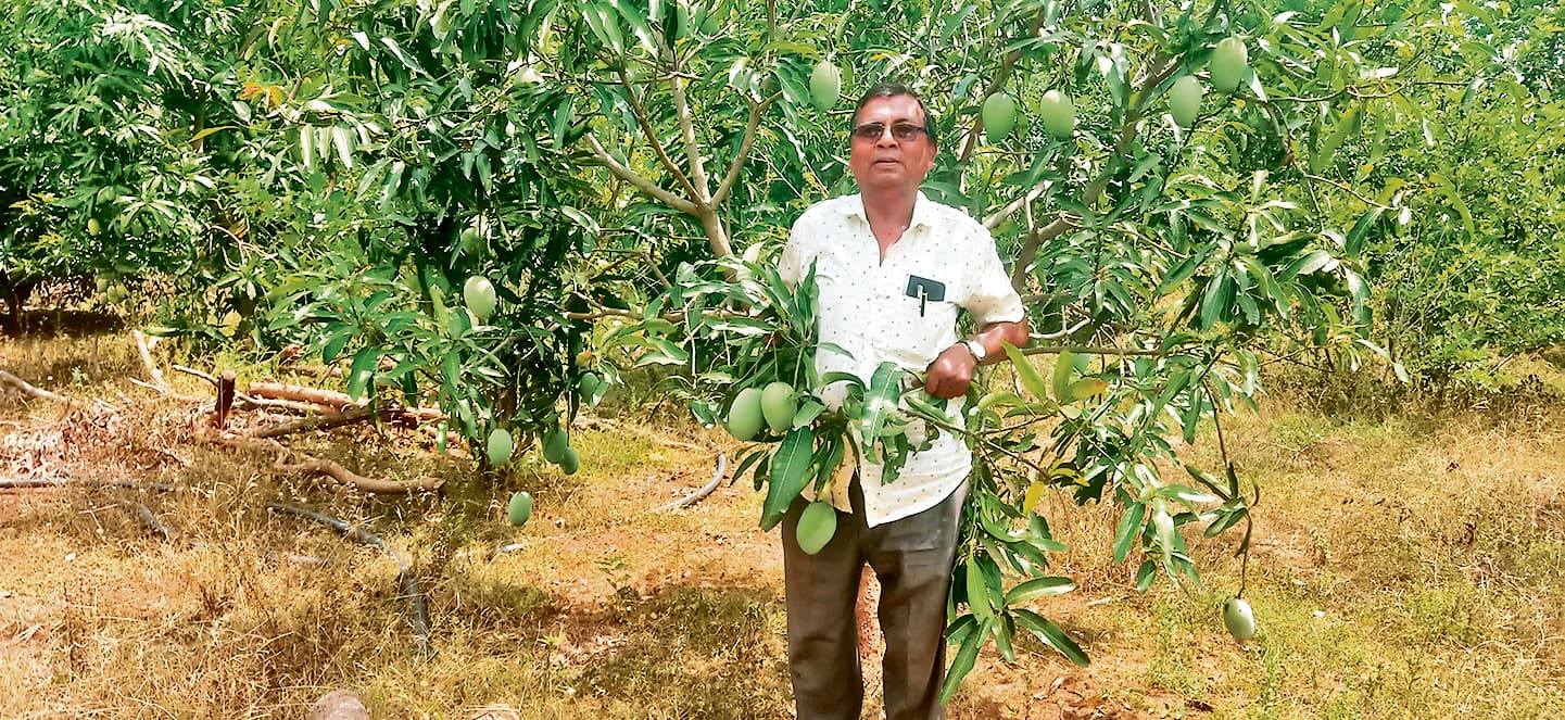East Singhbhum News : तीन बीघा में उगाते हैं फल व सब्जियां जरूरतमंदों व ग्रामीणों में बांट देते हैं