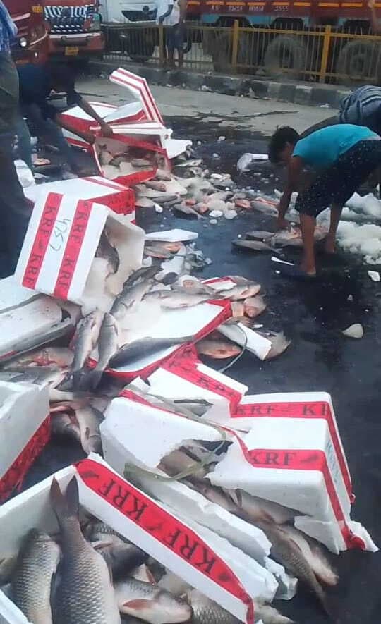 टॉप बॉक्स पेज छह:   चांदनी चौक पर मालवाहक ऑटो में ट्रक ने मारी ठोकर, मछली लूटकर ले गये लोग