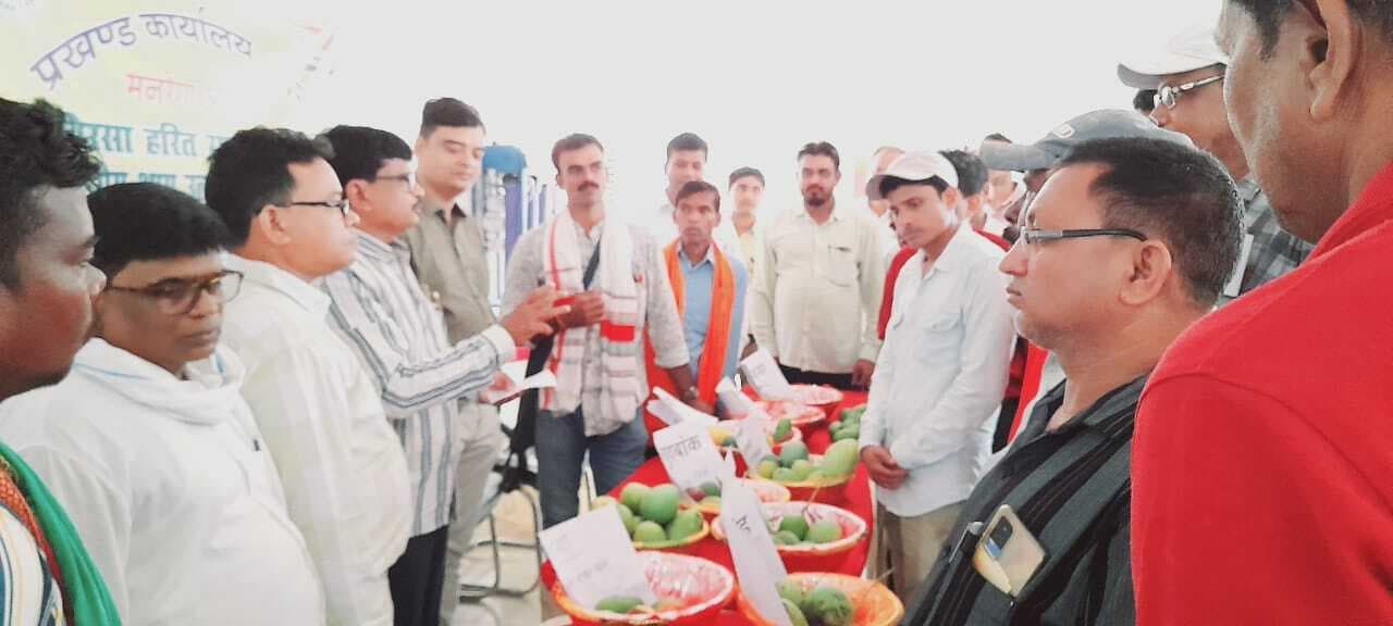 सारठ : मेले में विभिन्न किस्में के आम की लगायी गयी प्रदर्शनी