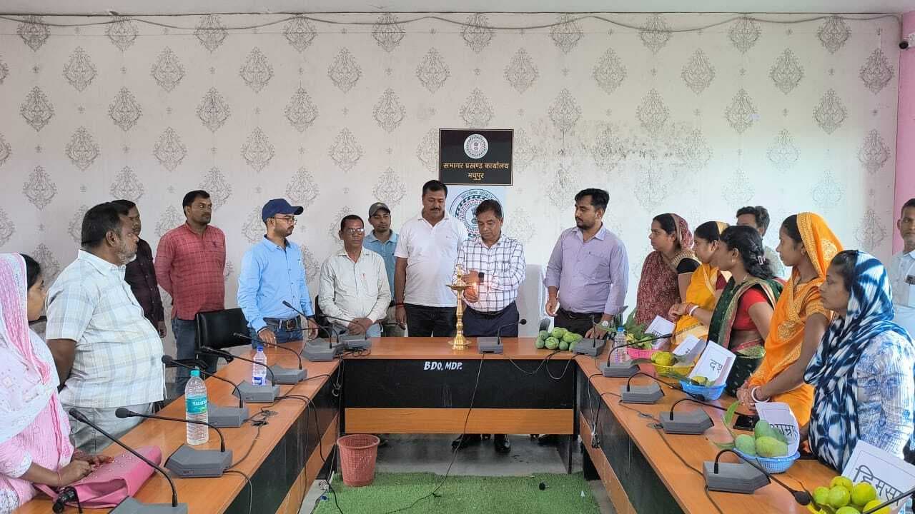 मेले में विभिन्न प्रकार के आमों की लगायी गयी प्रदर्शनी