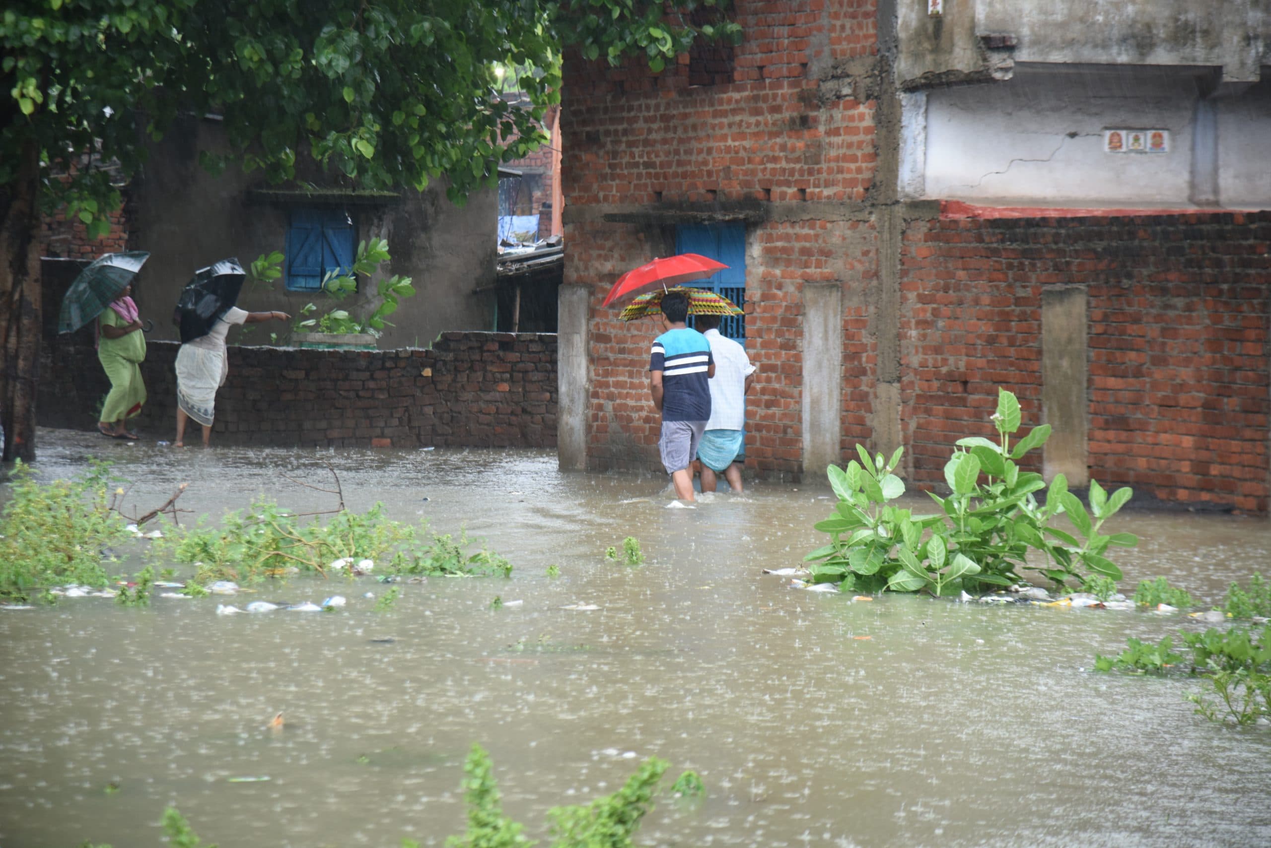 Jamshedpur News : लगातार हो रही बारिश ने बढ़ायी परेशानी, सोनारी निर्मल बस्ती के 40 घरों में घुसा पानी