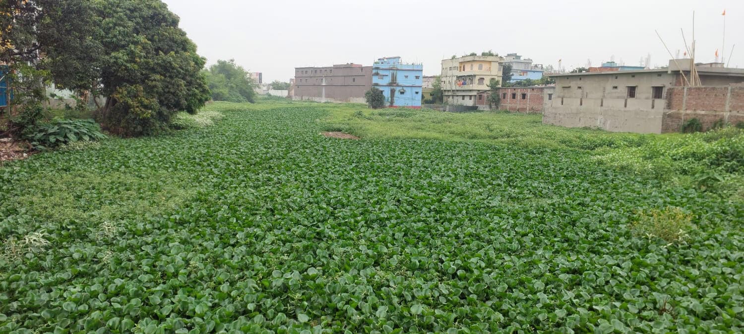 सीता धार में बनेगा ड्रेनेज सिस्टम, बाढ़ से मिलेगी मुक्ति