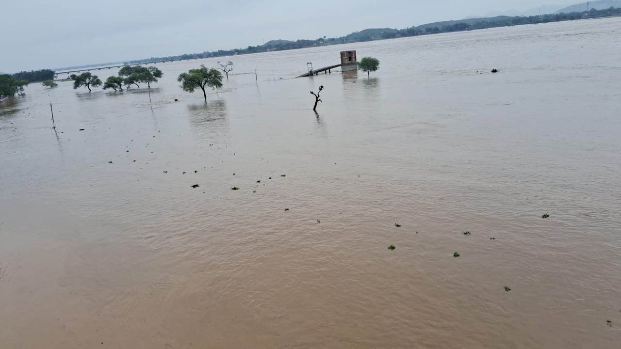 Aurangabad News : बारिश से उत्तर कोयल नदी उफान पर, भीम बराज के 38 गेट खोले गये