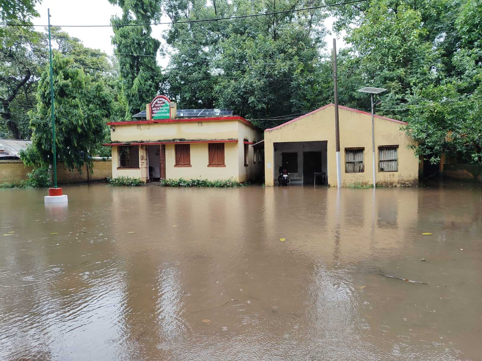 East Singhbhum News : जून में रिकॉर्ड बारिश, जलस्तर 81.4 मीटर तक पहुंचा<bha>;</bha> खतरे की सीमा 86.835 मीटर