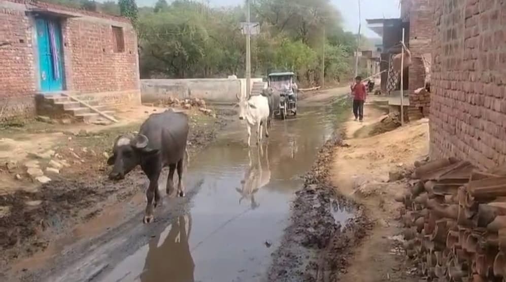 भोरेया में पानी निकासी नहीं होने से सड़क पर जलजमाव, परेशानी