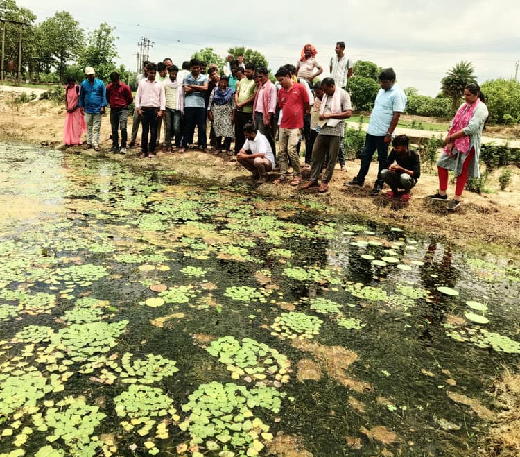 Darbhanga : मधुबनी के प्रशिक्षु किसानों ने देखा फसलों के उत्पादन का नया तरीका