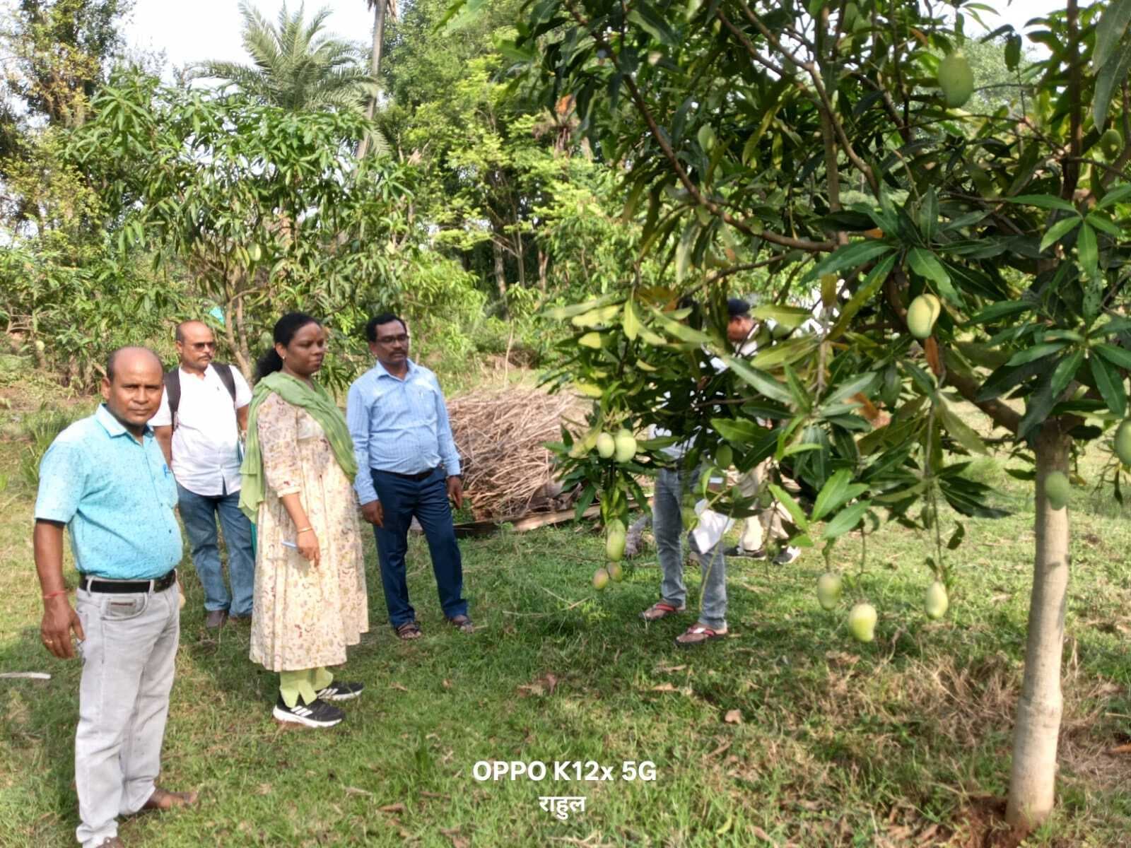 रोकड़ बही को रखें अद्यतन, योजनाओं में न हो गड़बड़ी : अपर समाहर्ता