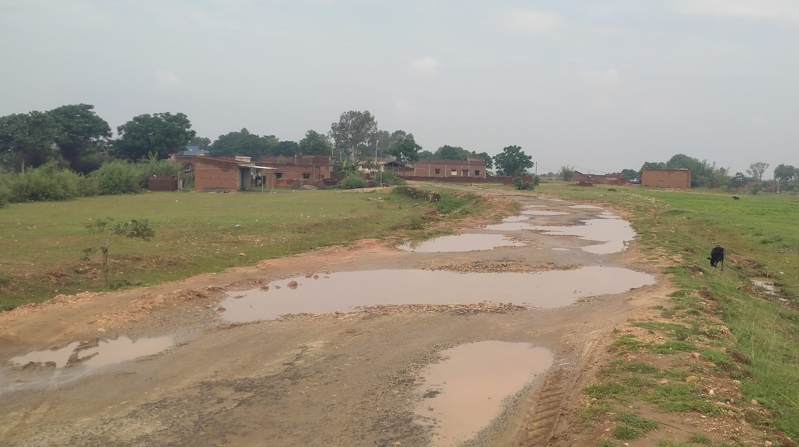 Giridih News: पुलिया निर्माण के लिए खोद दिया गड्ढा, पानी भरने से लोग परेशानछह माह में पूरा नहीं हुआ चंपापुर-महादेवडीह रोड का काम21 गिरिडीह-3.जर्जर सड़क में जगह-जगह जमा पानी, 4.महीनों से आधूरा है पुलिया का निर्माणगांडेय. छह माह पूर्व शुरू हुए चंपापुर-महादेवडीह सड़क निर्माण का काम अभी तक पूरा नहीं हुआ. संवेदक ने तीन जगहों पर पुलिया निर्माण के लिए गड्ढा खोद दिया है. इधर, प्राक्कलित राशि से कम पर काम लेने के कारण अब मामला लटक गया है. संवेदक योजना को रिवाइज में डाल कर कार्य को रोके दिया है. काम आरईओ विभाग करना रहे हैं. कार्य का मूल संवेदक संजय सिंह हैं, जबकि कार्य स्थानीय संवेदक सुधीर सिंह के जिम्मे है. ग्रामीणों ने बताया कि छह माह पूर्व शुरू हुए सड़क निर्माण कार्य में चंपापुर पंचायत भवन के पास एक व केराडीह में दो स्थानों पर पुलिया निर्माण को गड्डा कर ढलाई तो किया गया है लेकिन इसे चालू नहीं किये जाने से लोगों को कीचड़ भरे डायवर्सन से आवाजाही करने को मजबूर हैं. ग्रामीणों ने बताया कि चंपापुर से महादेवडीह तक जगह-जगह सड़क जर्जर हो गयी है. कई स्थानों पर जल जमाव से आवाजाही में परेशानी हो रही है. स्थिति यह है कि अब एंबुलेंस भी गांव आना नहीं चाहती है. ग्रामीणों ने विभाग ने अविलंब सड़क निर्माण की मांग की है.आधा दर्जन गांव होंगे लाभान्वितग्रामीणों ने बताया कि चंपापुर से महादेवडीह तक जर्जर सड़क बनने से आधा दर्जन गांव के लाेग लाभान्वित होंगे. यह सड़क उदयपुर पंचायत होते हुए गिरिडीह को जोड़ती है. बताया कि सड़क निर्माण से चंपापुर, मंडरडीह, चुटियाडीह, महेशमरवा, महादेवडीह व उदयपुर के ग्रामीणों को काफी सहूलियत होगी. ग्रामीणों ने बरसात में सड़क पर डस्ट या मोरम डाल कर चलने योग्य बनाने की मांग की है.अविलंब पुलिया व सड़क निर्माण करने का दिया गया है निर्देश : जेईआरइओ के कनीय अभियंता (जेई) फैयाज अहमद ने कहा कि मामला संज्ञान में आया है. प्राक्कल रिवाइज के लिये फाइल अग्रसारित किया गया है. इसके बाद भी संवेदक को अविलंब सड़क व पुलिया निर्माण का निर्देश दिया गया है.