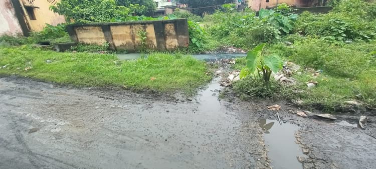 चितरा : कीचड़युक्त सड़क पर चलकर स्कूल जाने को बच्चे मजबूर