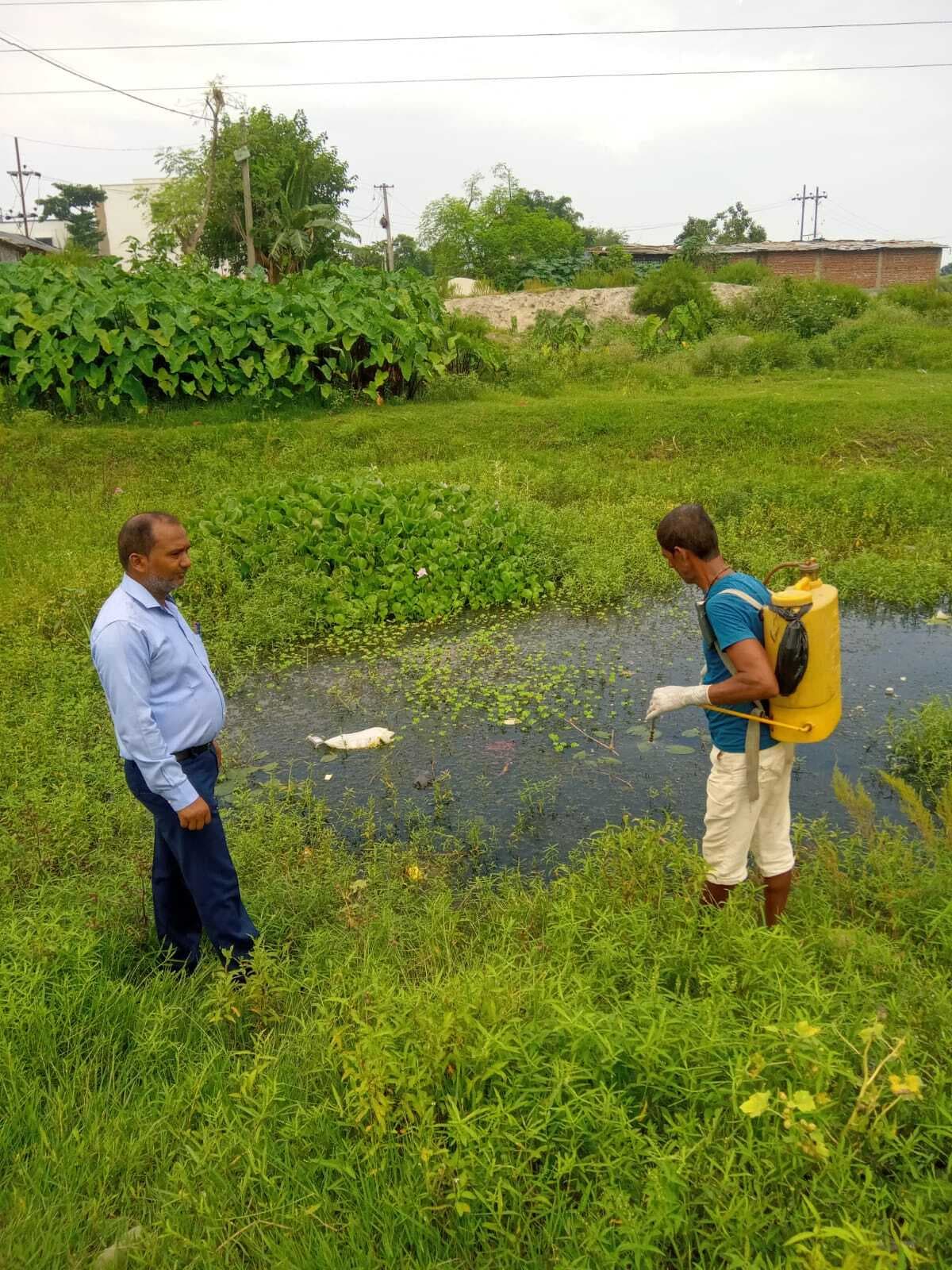 माॅनसून सक्रिय होते ही जिले में बढ़ा डेंगू का खतरा