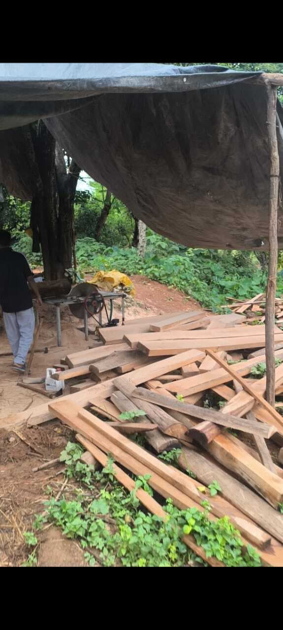 डीएफओ ने पकड़ा चीरान लकड़ी