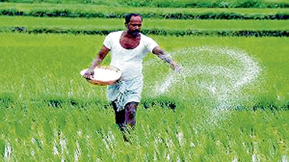 पूर्व कृषि मंत्री ने दिया शहरी क्षेत्रों में वैकल्पिक खेती को बढ़ावा देने पर जोर