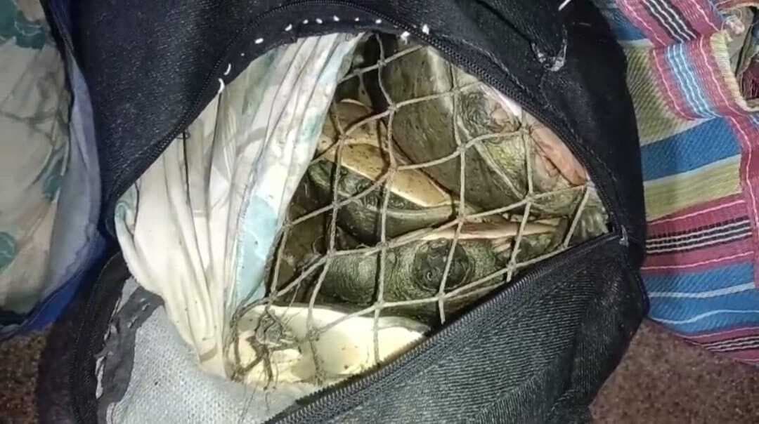 पंजाब मेल से 11 लाख रुपये के 22 कछुए बरामद
