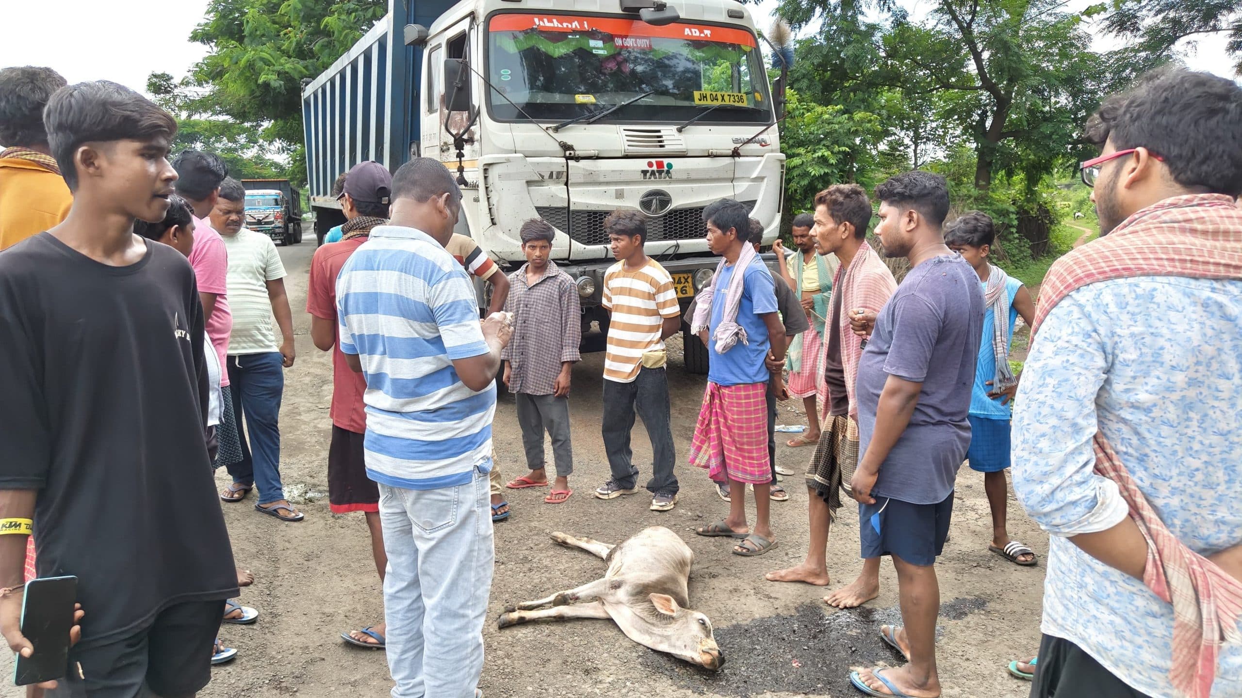 हाइवा के धक्के से बछड़ा घायल, ग्रामीणों ने किया रोड जाम