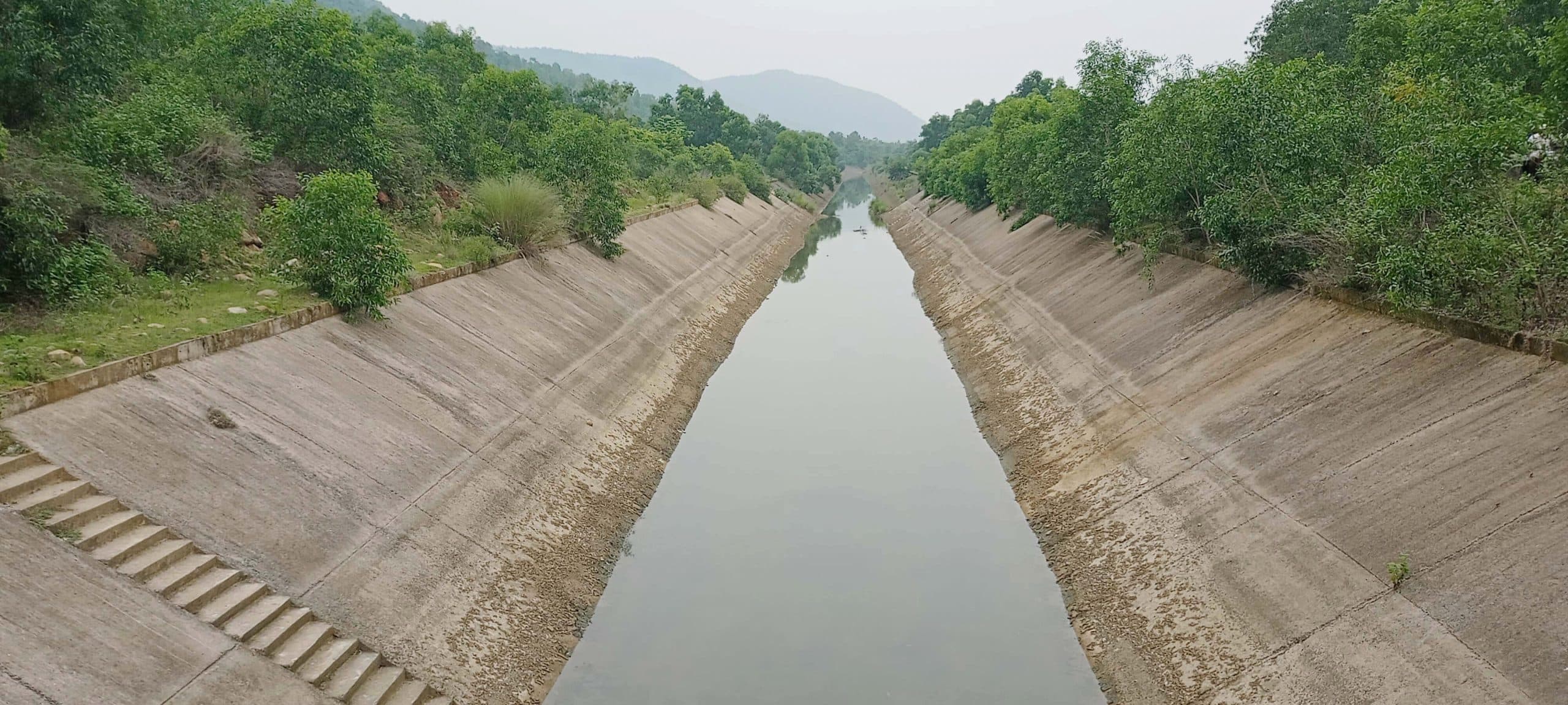 East Singhbhum News : धान का चारा तैयार, मुख्य नहर में नहीं छोड़ा गया पानी, शाखा नहरें बदहाल