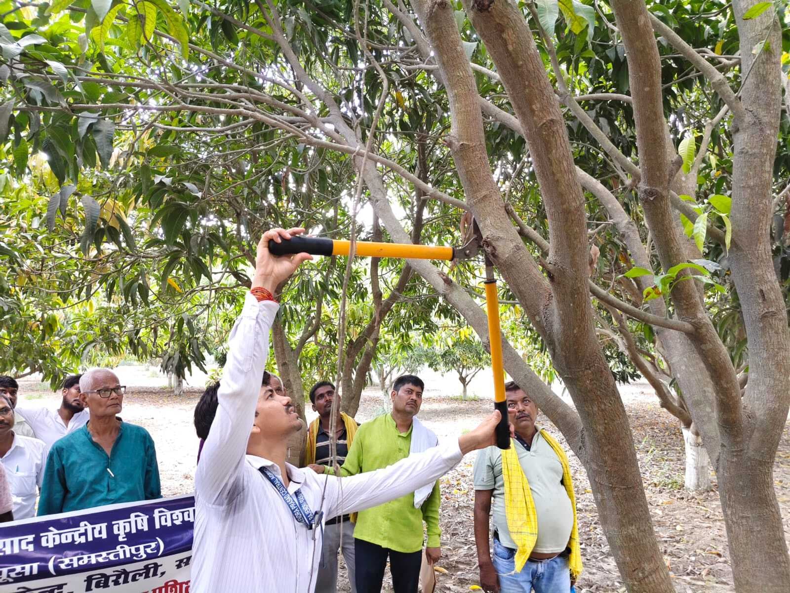 Samastipur News:बागों के पोषक तत्व को प्रबंधन करने की जरूरत : डा तिवारी