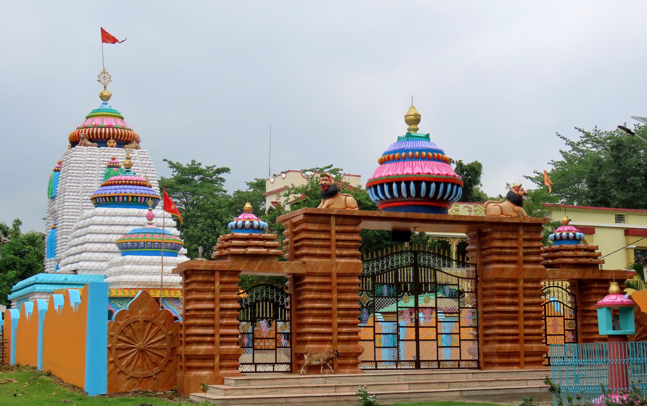 Seraikela Kharsawan News :नवयौवन स्वरूप में भक्तों को दर्शन देंगे प्रभु जगन्नाथ