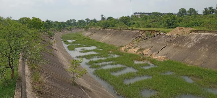 East Singhbhum News : गालूडीह में मुख्य दायीं नहर एक साल से ध्वस्त, ओडिशा कैसे जायेगा पानी