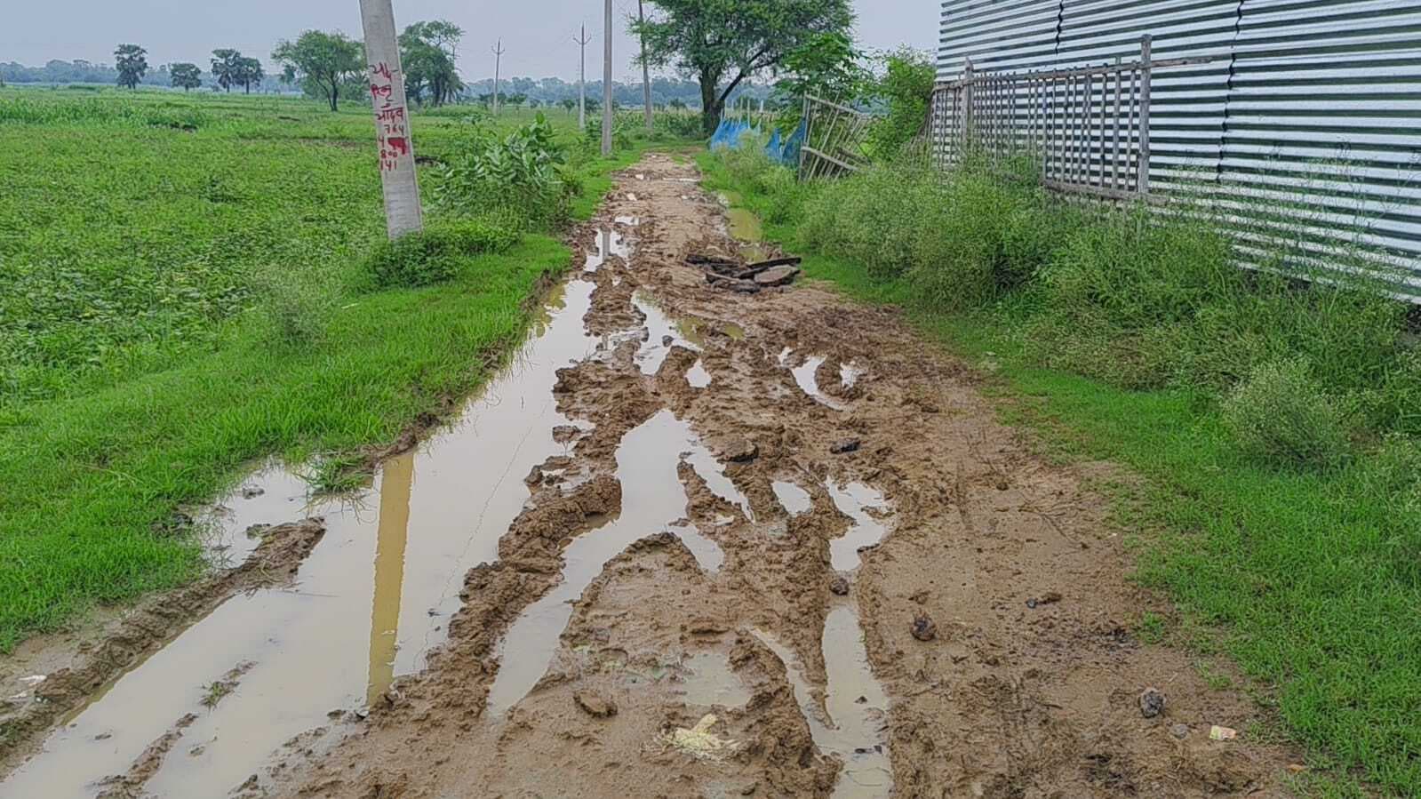 Bhagalpur News: कागज पर हुई मिट्टी भराई व ईंट सोलिंग, धरातल पर पसरा है कीचड़